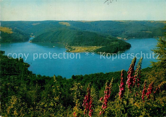 Rurtalsperre Schwammenauel Blick von der Hirschley