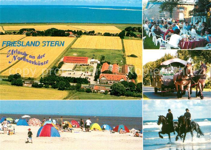 Wangerland Friesland Stern Strand Pferde Fliegeraufnahme Pferdewageb