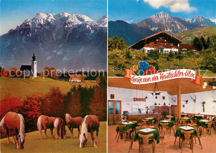 Neubichler Alm Piding am H?gl ?ber Piding Pferde