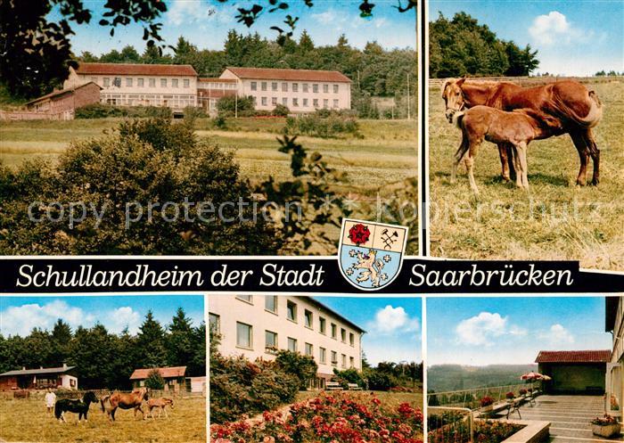 SAARBRueCKEN Saarland Schullandheim Friedrich Margardt-Haus Pferde