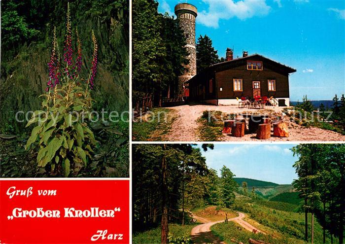 Bad Gandersheim Wanderh?tte Gro?er Knollen