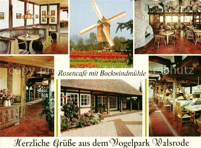 Walsrode Lueneburger Heide Rosencafe Bockwindmuehle