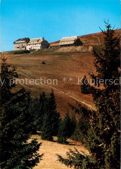 Schoenau Schwarzwald Hotel Belchenhaus Belchen