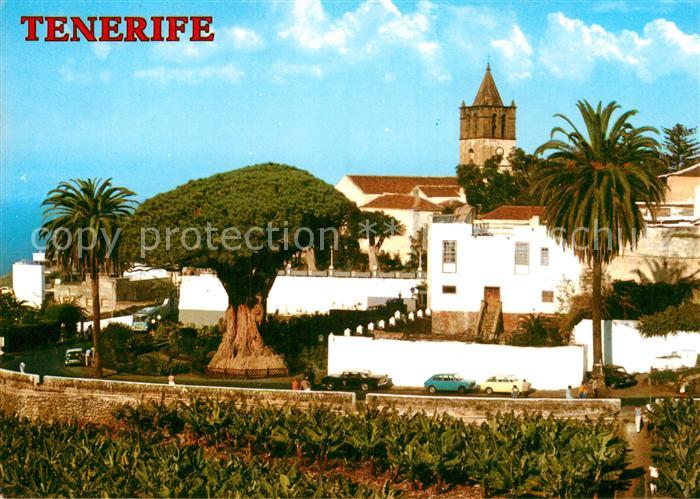 Icod de los Vinos Vista parcial Drago milenario