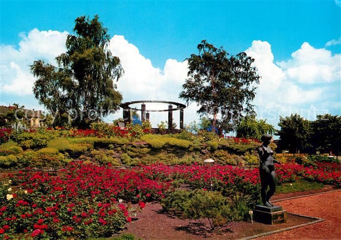 HAMBURG  CITY Planten un Blomen Rosenbluete am Ritterspornhuegel