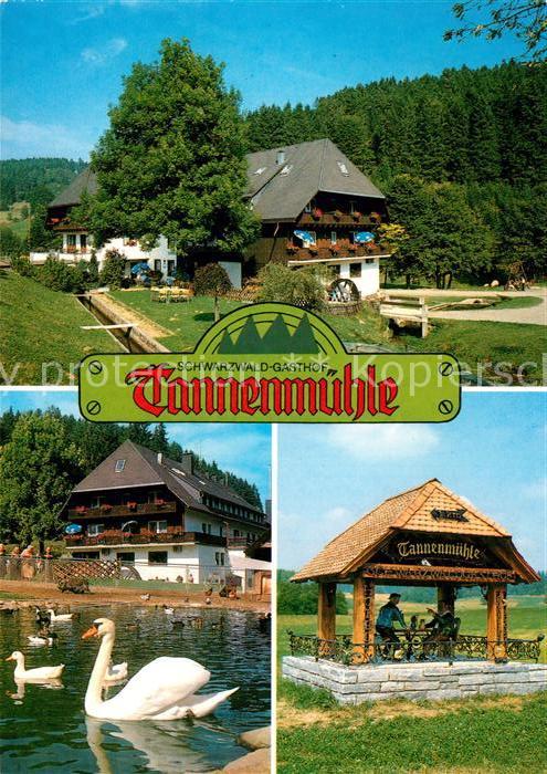 Grafenhausen Schwarzwald Schwarzwaldgasthof Tannenmuehle Schwanenteich