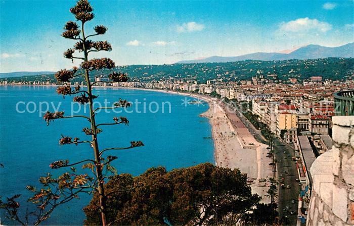 Nice Alpes Maritimes Vue generale prise du Chateau Cote d Azur