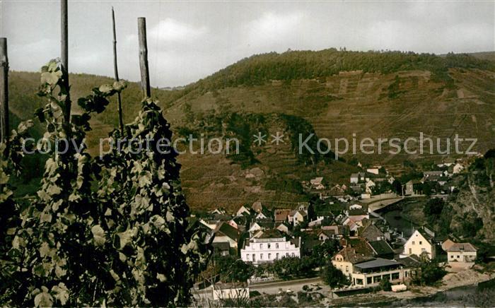 Mayschoss Panorama Ahrtal Weinberge Weinreben