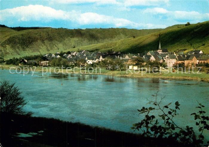 Mesenich Cochem Blick ueber die Mosel