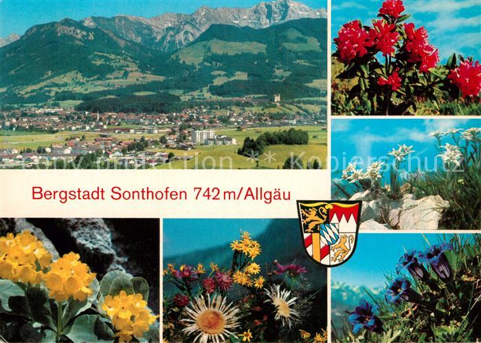 Sonthofen Oberallgaeu Panorama Bergstadt Alpenflora