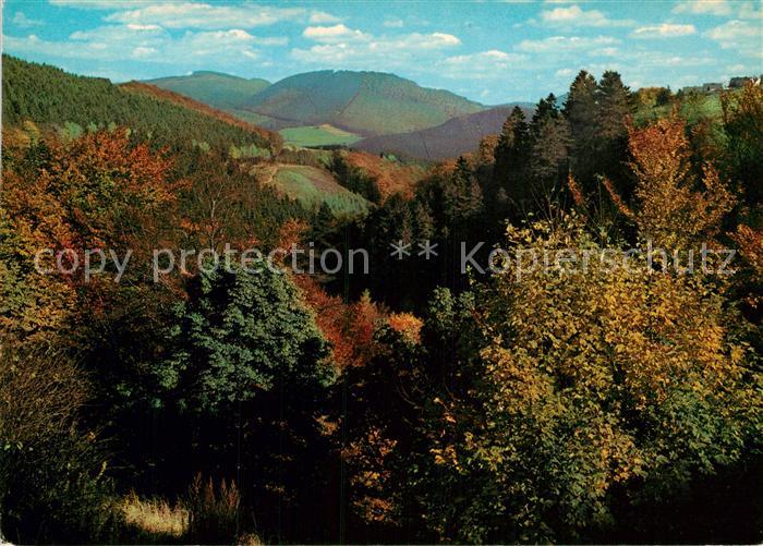 Winterberg Hochsauerland Panorama Blick ins Helletal und Orketal Herbststimmung