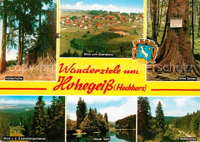 Hohegeiss Harz Koehlerhuette Panorama Blick vom Ebersberg Dicke Tannen Wolfsbach