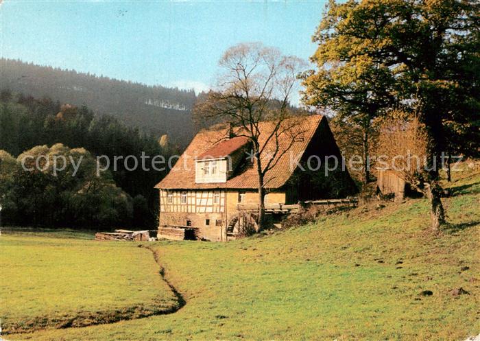 Tellerhammer Rote Muehle