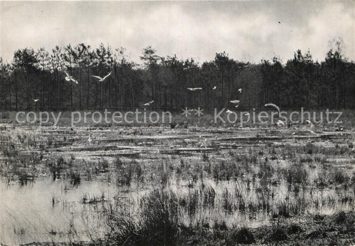 Snepken Reservaat Snepkensvijver