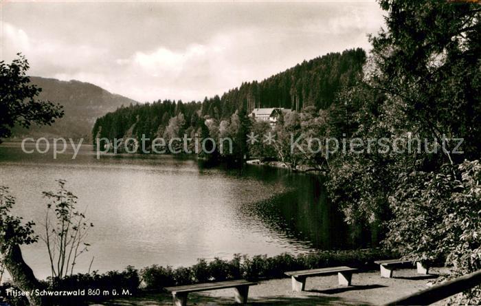Titisee Uferpartie am See Schwarzwald