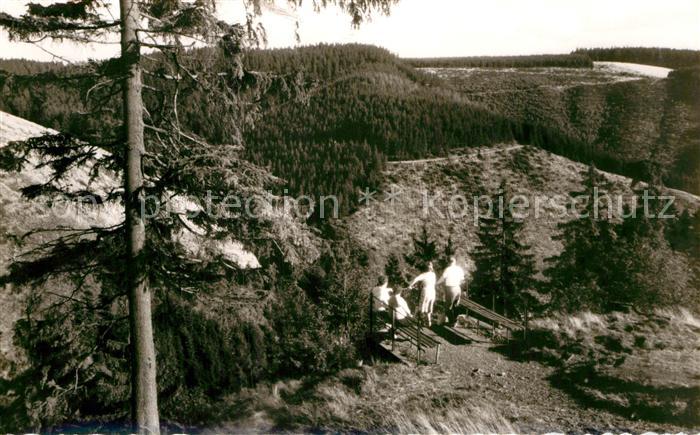 St Andreasberg Harz Partie an der Rosstrappe Landschaftspanorama