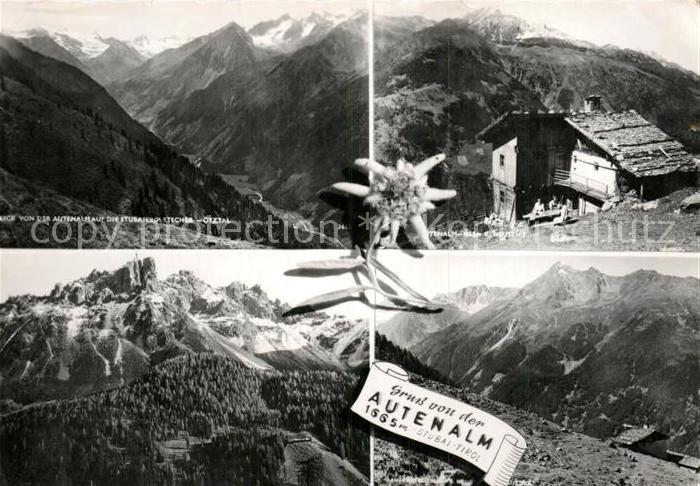 Neustift Stubaital Tirol Autenalm Edelweiss Alpenpanorama Stubaier Alpen