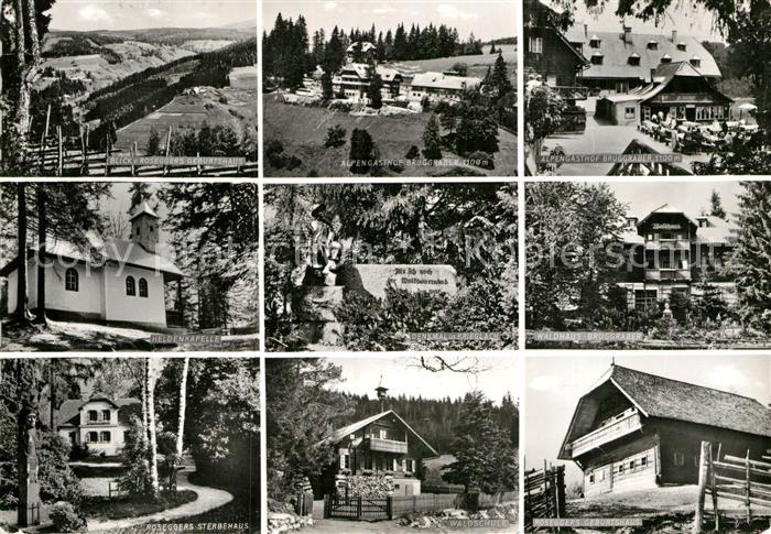Alpl Teilansichten mit Rosegger Waldschule