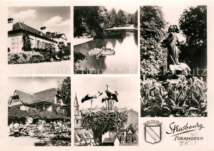 Strasbourg Alsace Parc de l'Orangerie Gaststaette Terrasse Storchennest Statue