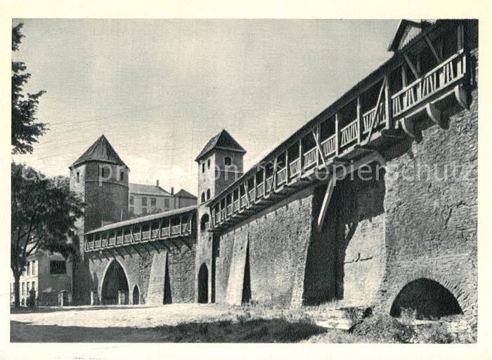 Tallinn Linnamueuer Stadtmauer