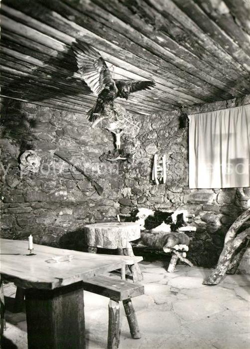 Bad Hofgastein Berghuette Gaststube Jagdtrophaee Vogelpraeparat