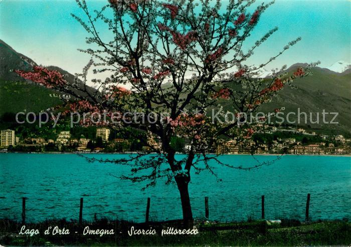 Omegna Scorcio pittoresco Lago d Orta
