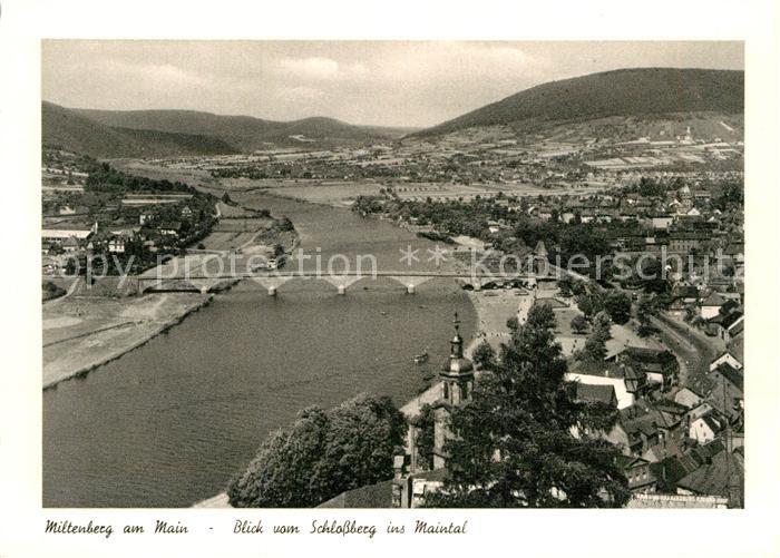 Miltenberg Main Panorama Blick vom Schlossberg ins Maintal Kupfertiefdruck