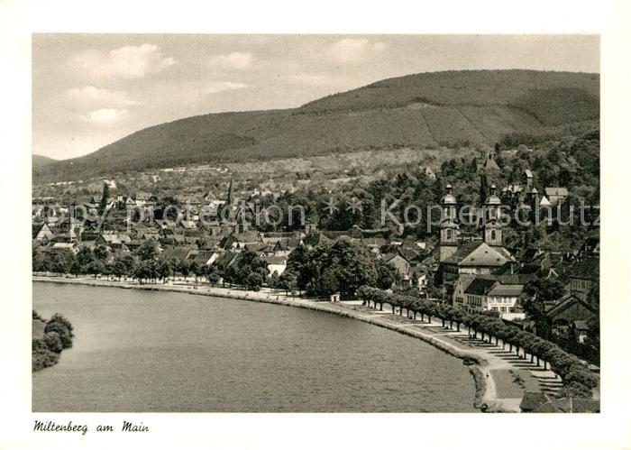 Miltenberg Main Panorama Kupfertiefdruck