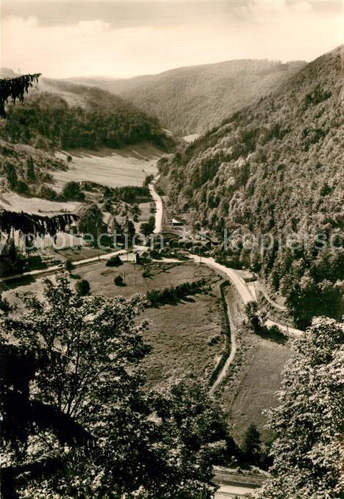 Netzkater Dreitaelerblick Kaltes Tal