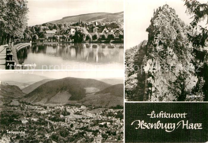 Ilsenburg Harz Forellenteich Ilsestein