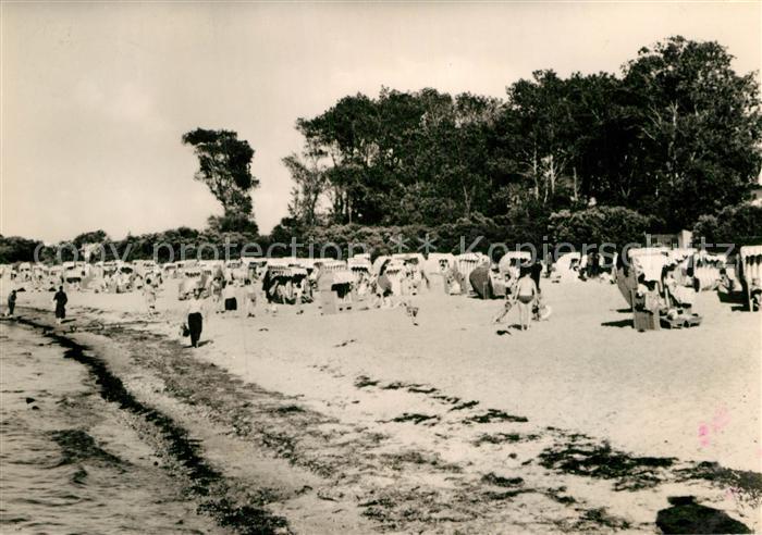 Insel Poel Am Schwarzen Busch