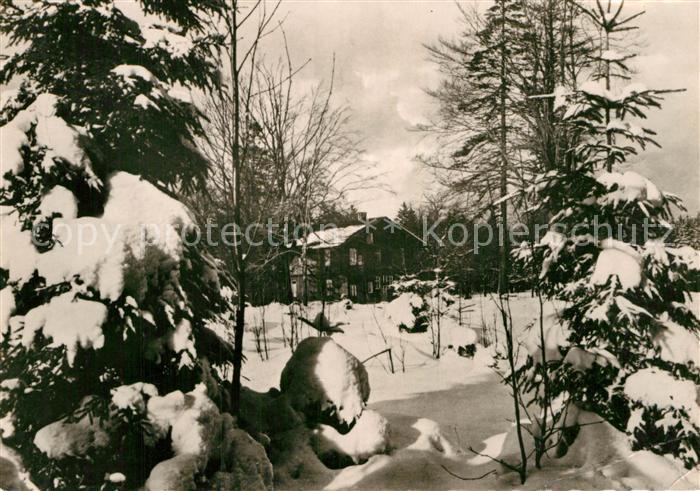 Friedrichroda Tanzbuche
