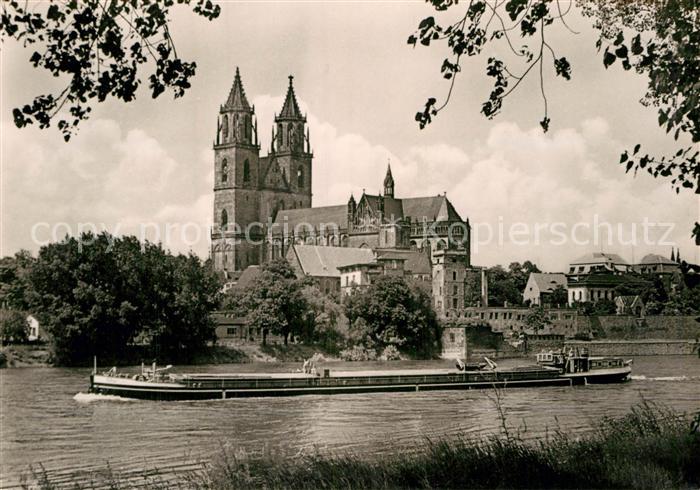 MAGDEBURG  CITY Dom Elbansicht Frachter