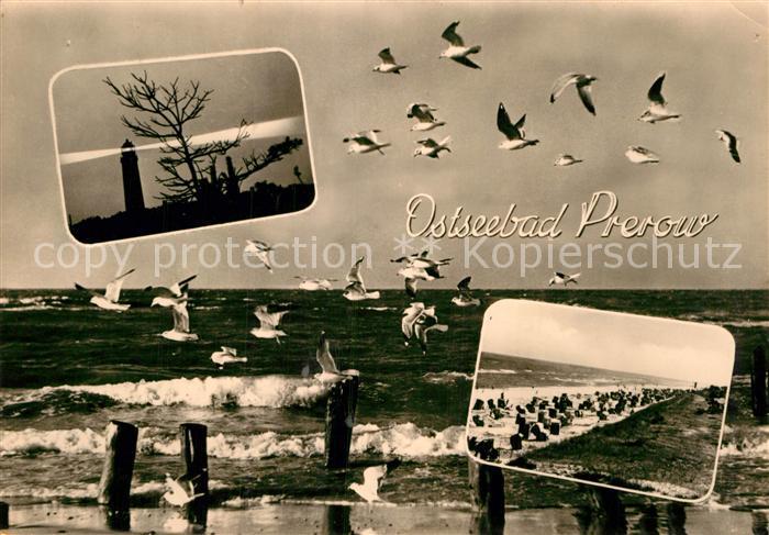 Prerow Ostseebad Leuchtturm Moewen
