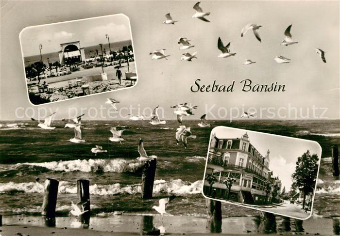 Bansin Ostseebad Erholungsheim Zur Ostsee Moewen