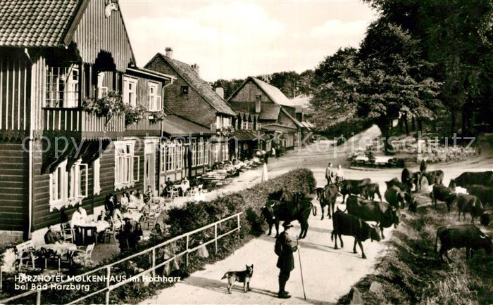 Bad Harzburg Harzhotel Molkenhaus