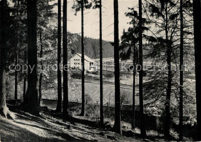 Fohlenplacken Waldcafe Ruebezahl