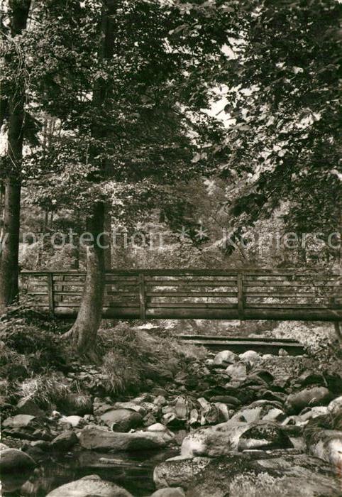 Elend Harz Partie an der Bode