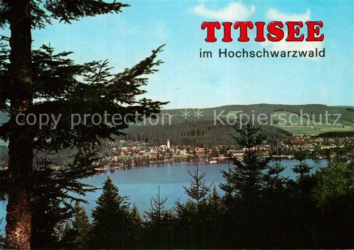 Titisee Seepanorama