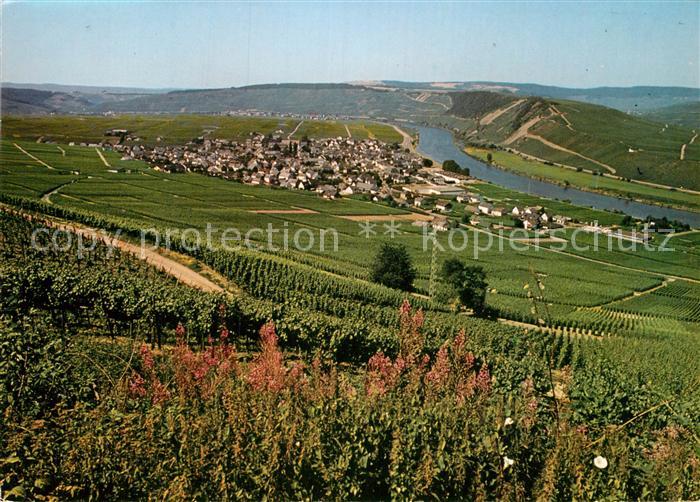 Leiwen Mosel Panorama