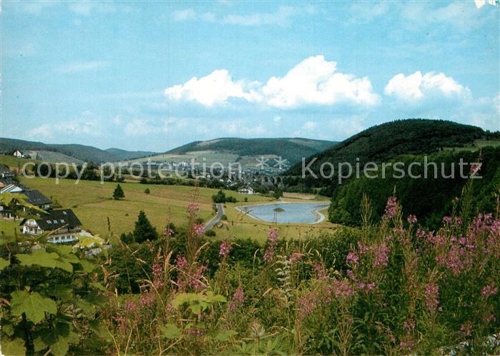 Willingen Sauerland Naturpark Diemelsee Strycktal