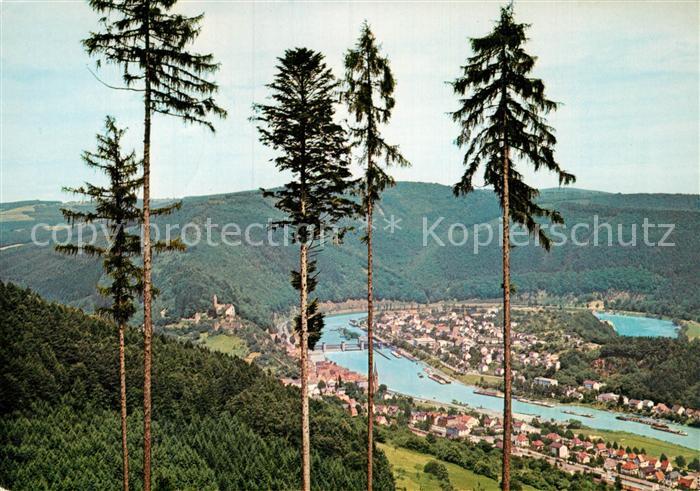 Hirschhorn Neckar Panorama