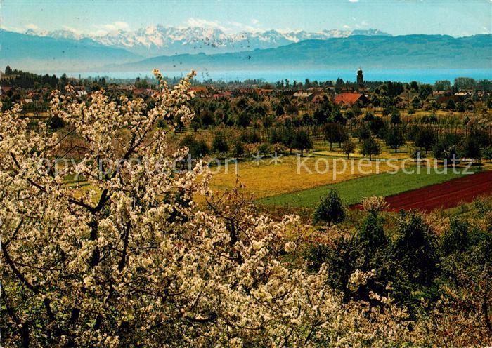 Kressbronn Bodensee Schweizer Hochgebirgskette