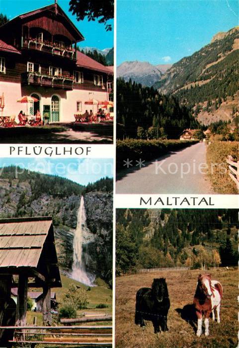 Maltatal Kaernten Alpenhotel Pflueglhof