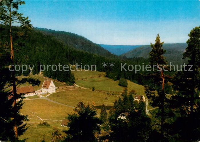 FREUDENSTADT BW Christophstal Baerenschloessle