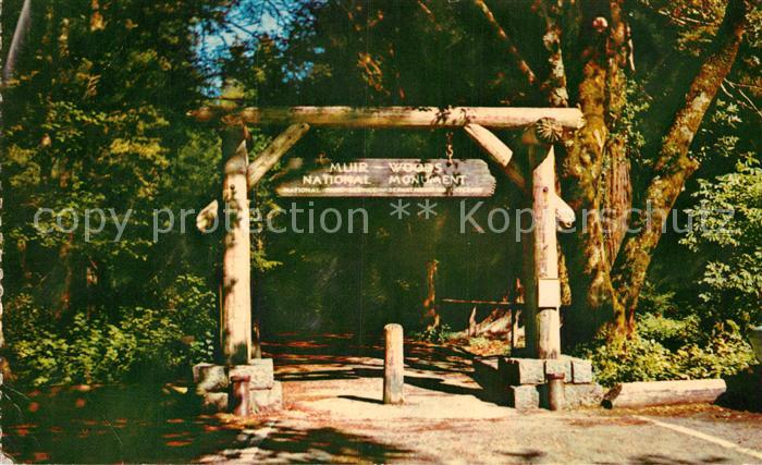 Mill Valley Gateway to Muir Woods National Monument