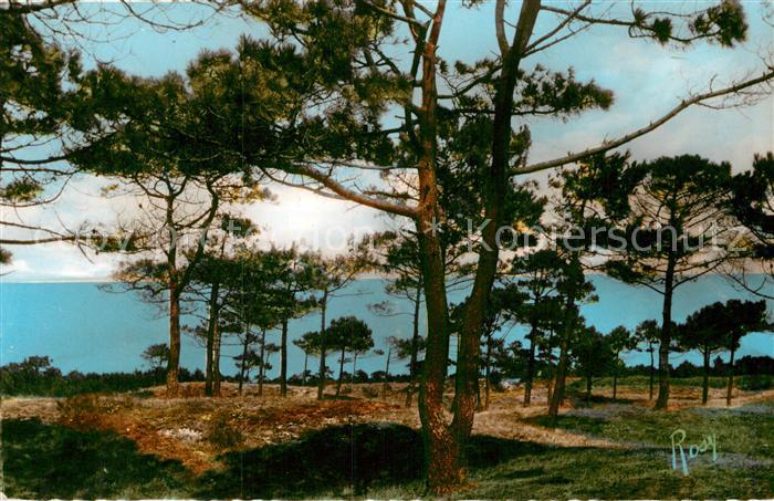 Notre-Dame-de-Monts Foret de Monts