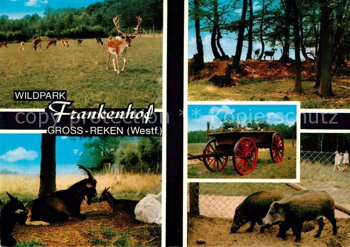Gross Reken Wildpark Frankenhof Details
