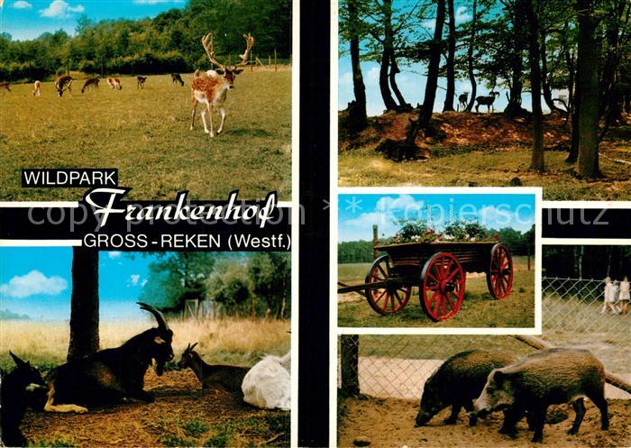 Gross Reken Wildpark Frankenhof Teilansichten