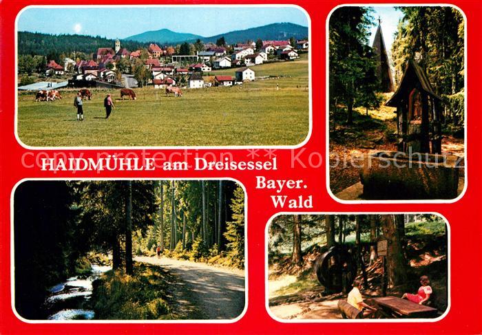 Haidmuehle Panorama Brunnen Waldweg Wasserrad